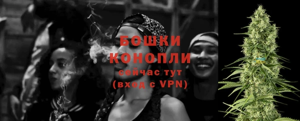 дживик Горнозаводск